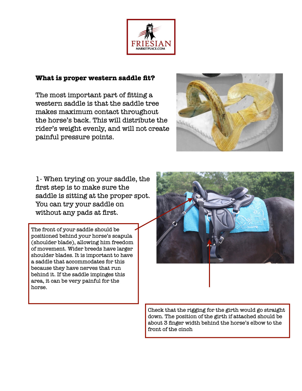 Friesian Western Endurance Saddle