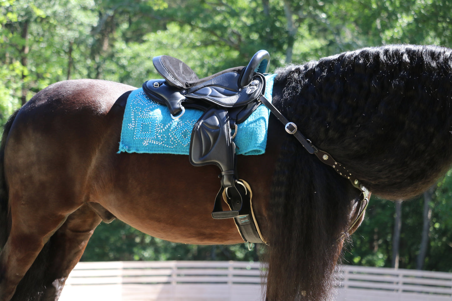 Friesian Western Endurance Saddle
