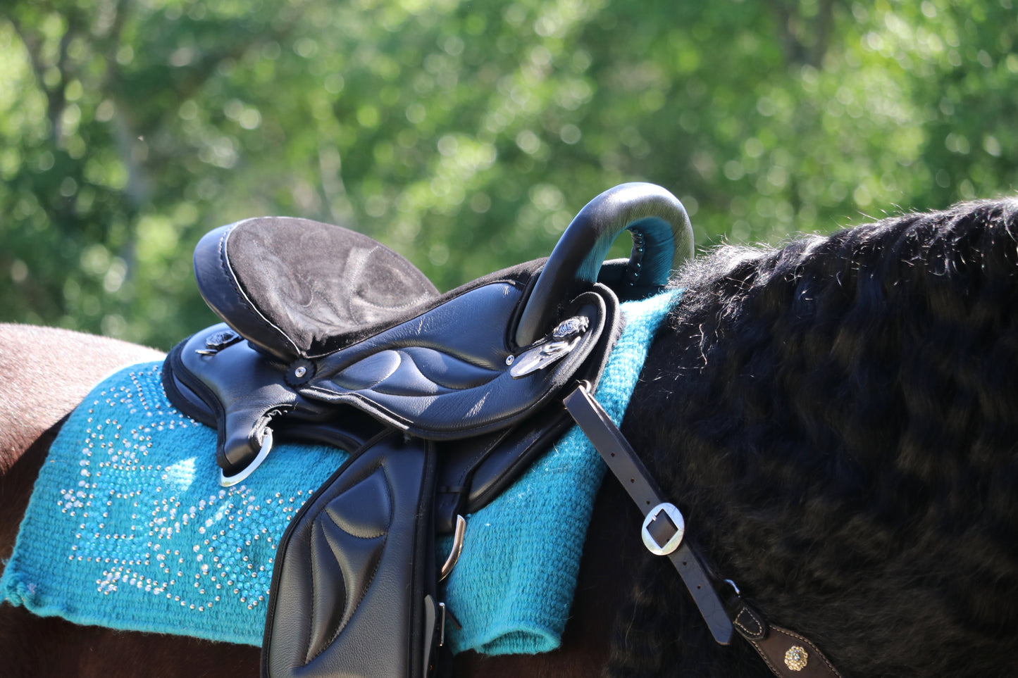 Friesian Western Endurance Saddle