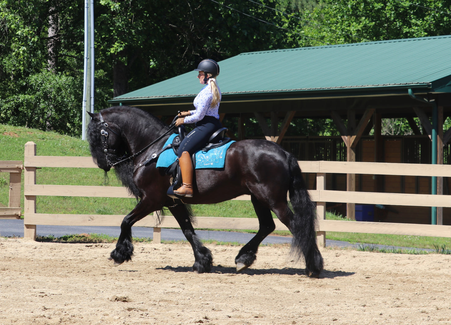 Friesian Western Endurance Saddle