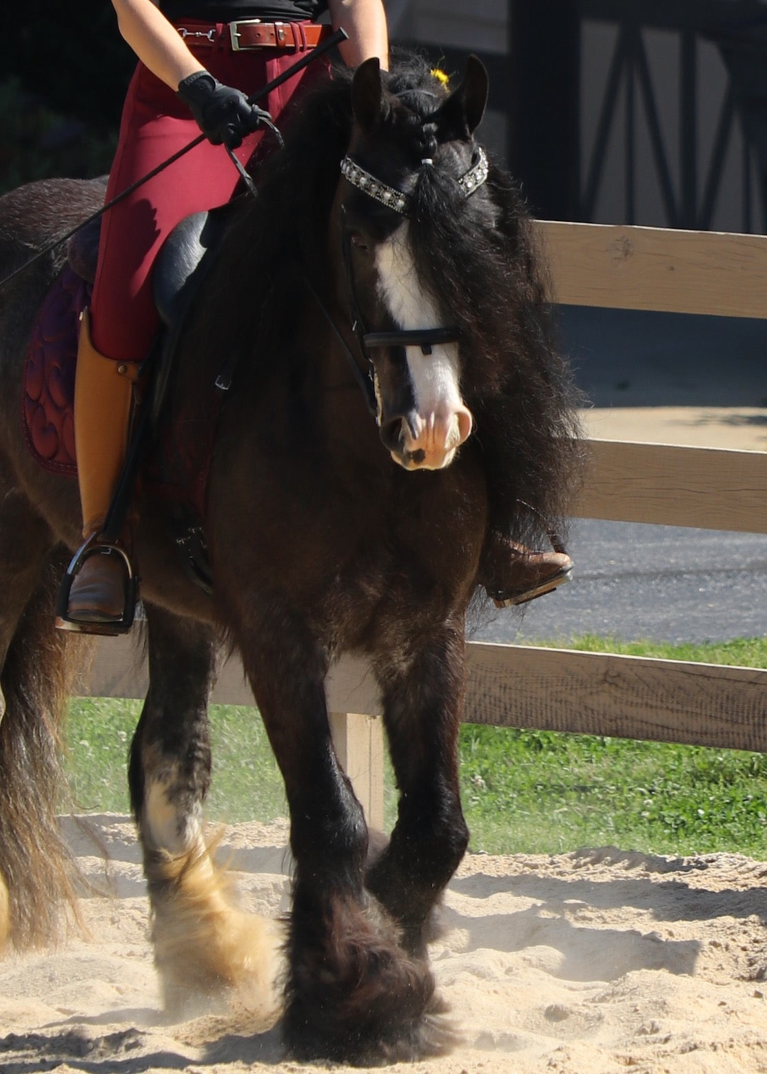 Lady Quinta