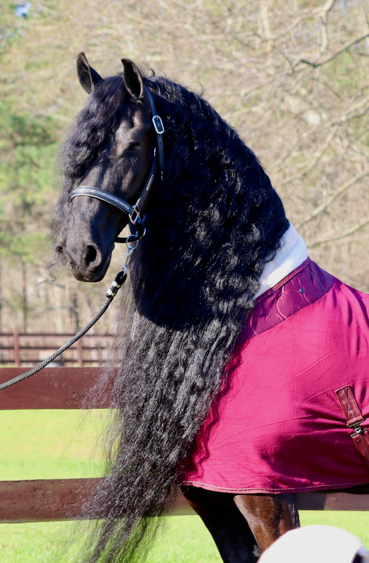 Elegant Sparkle Halter