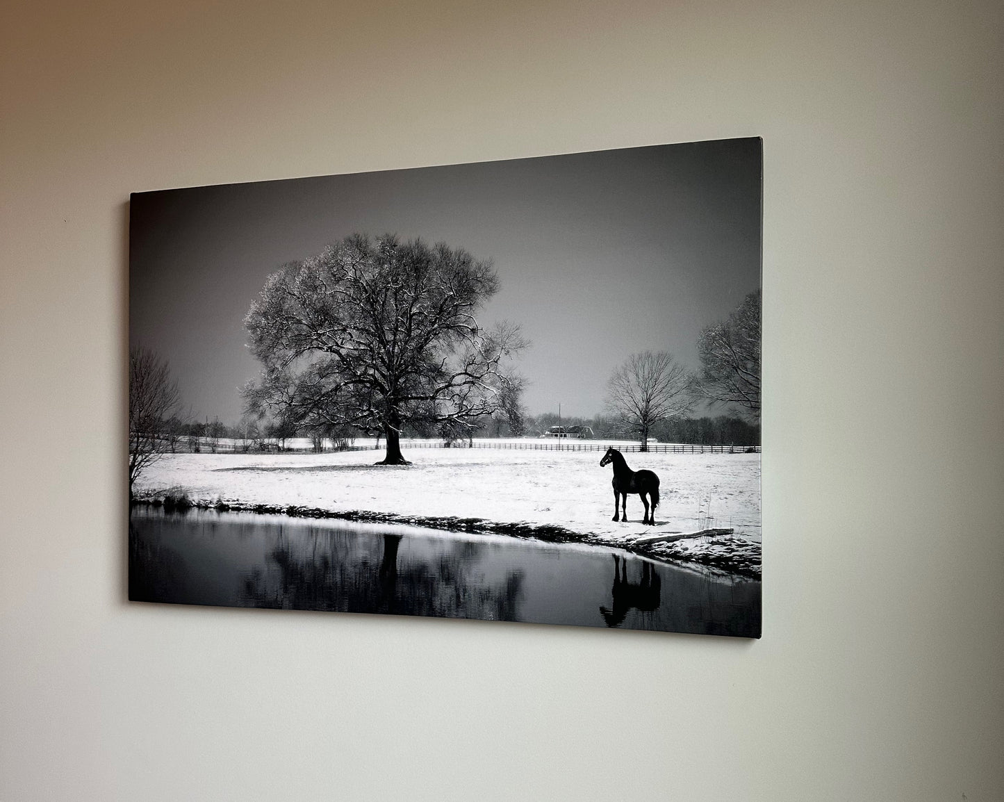 Friesian Winter Wonderland Black and White