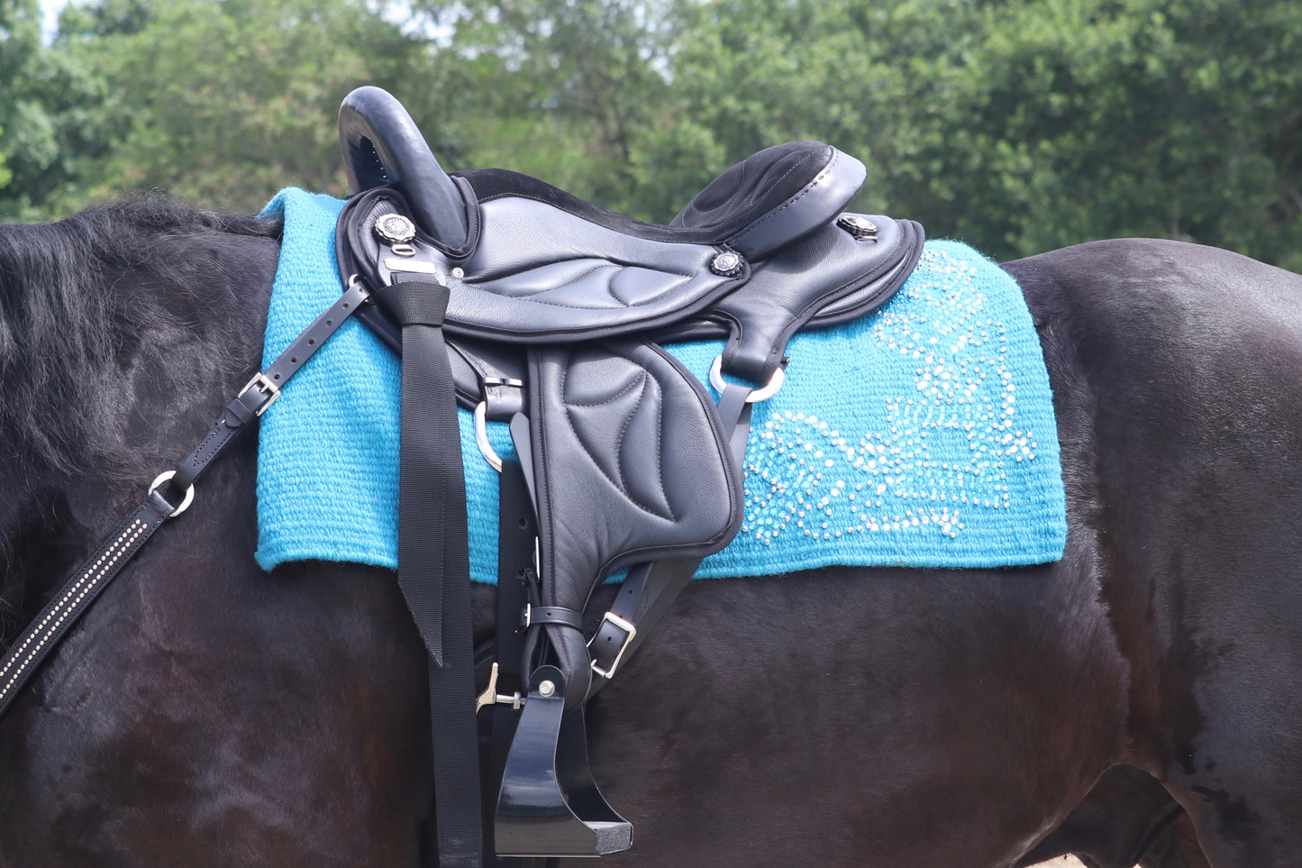 Friesian Endurance Saddle