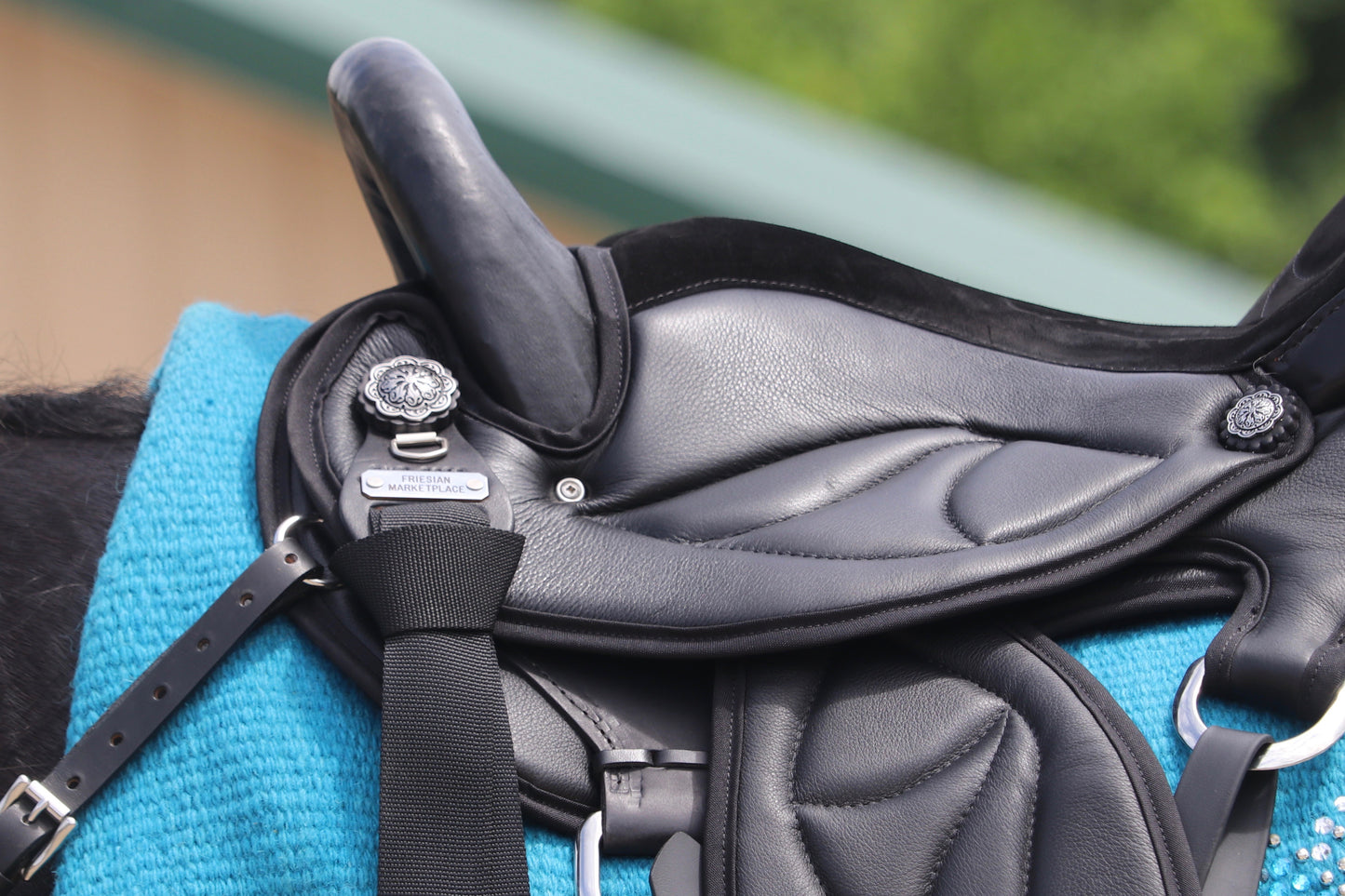 Friesian Western Endurance Saddle