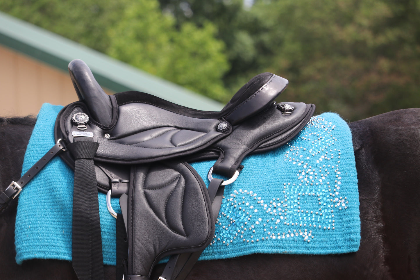 Friesian Western Endurance Saddle