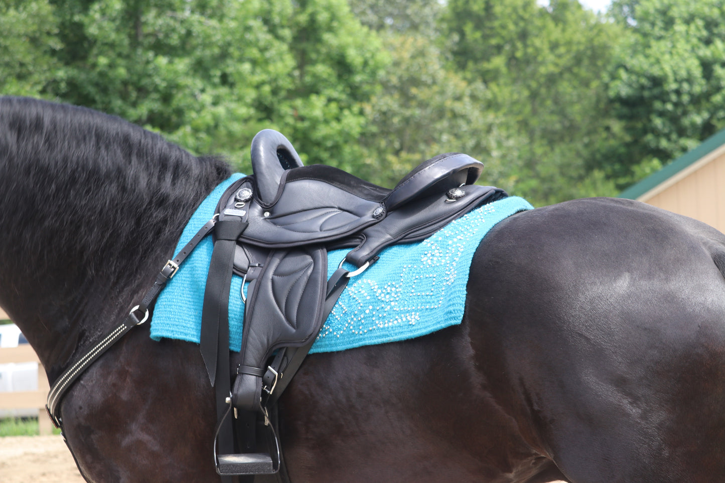 Friesian Western Endurance Saddle