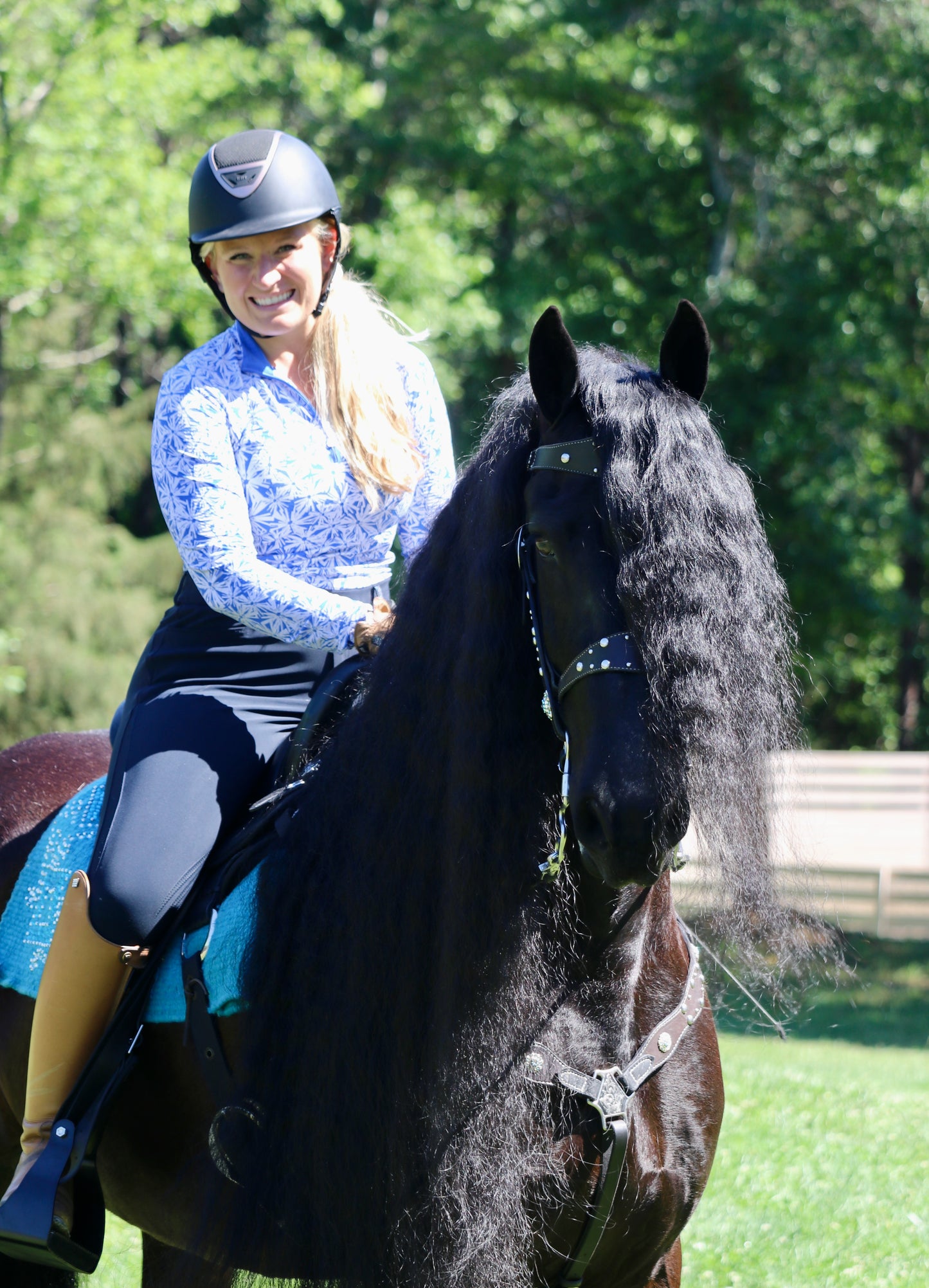 Custom Western Bridle and Breast Collar