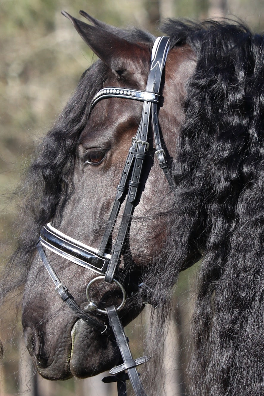 Deluxe Dressage FMP Bridle White Friesian Marketplace deluxe-dressage-fmp-bridle-white-friesian-marketplace