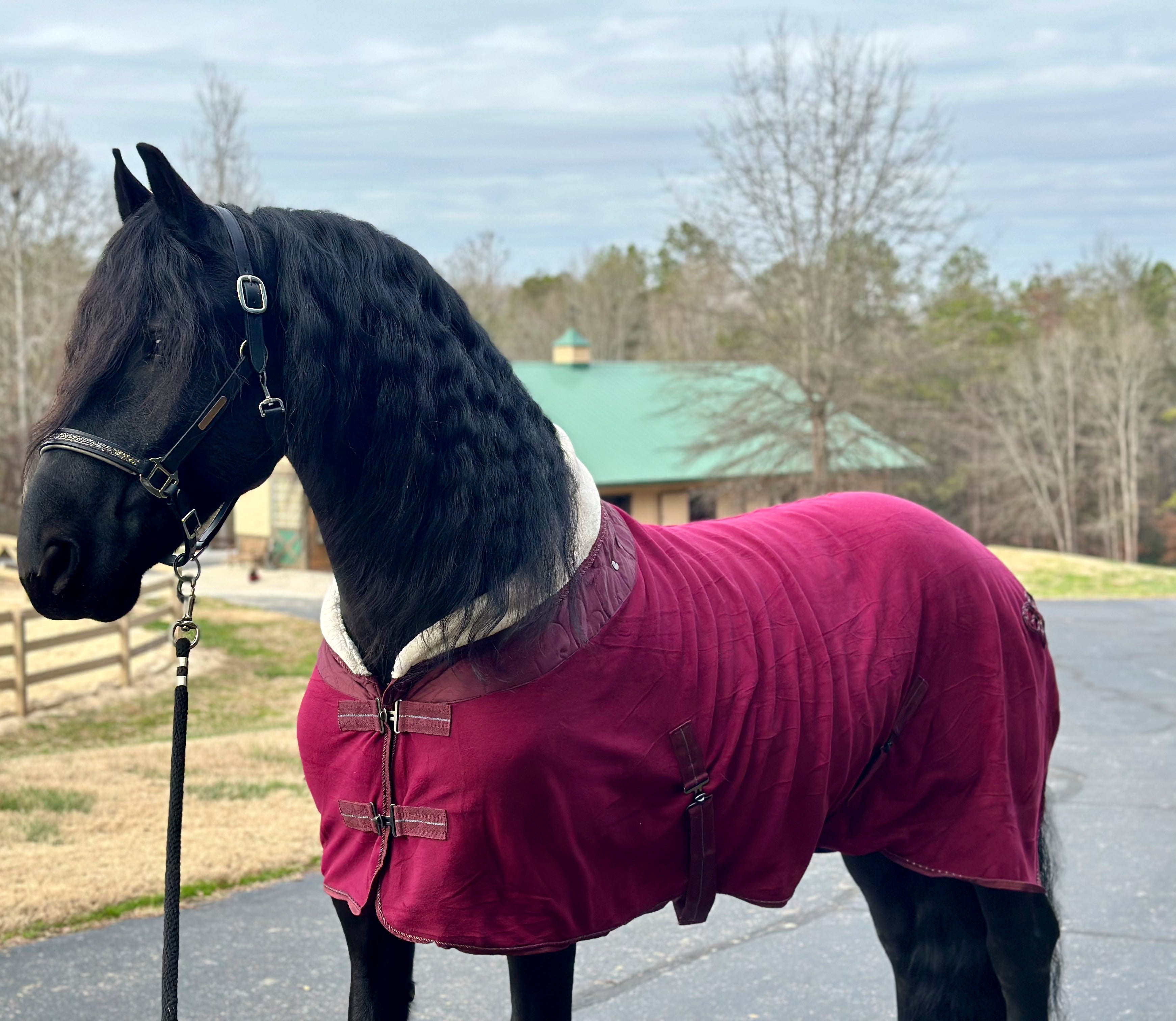 Lilly Cooler – Friesian Marketplace