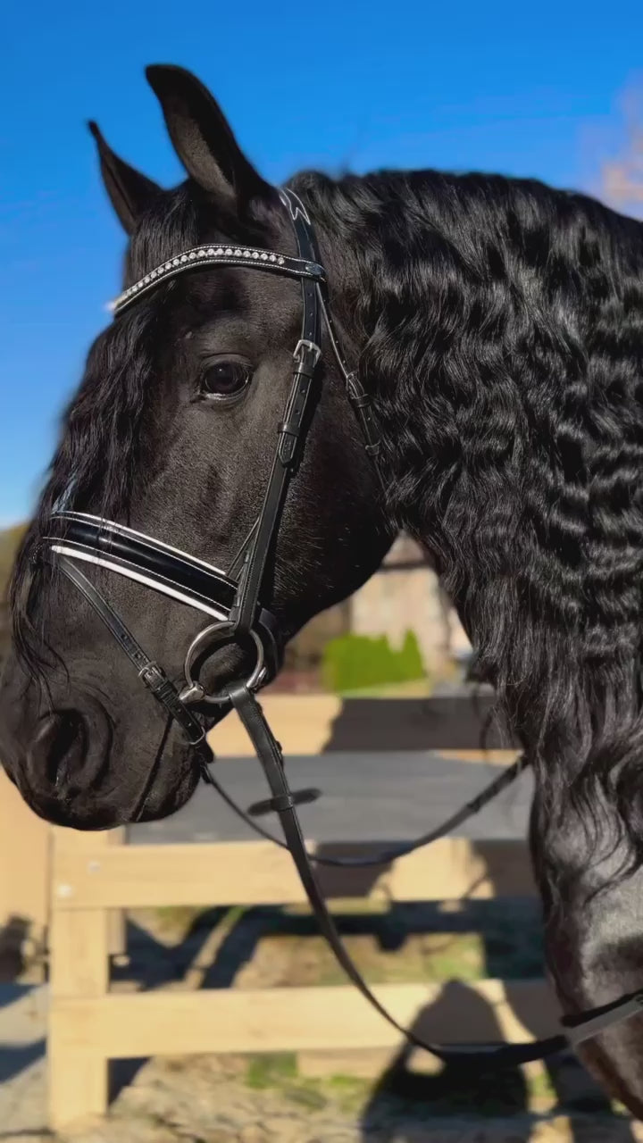 Hennessy & Black Label & White Horse セット Amazon.co.jp: 【バラエティ3本セット】ホワイトホース ファイン